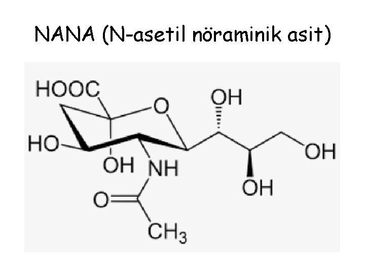 NANA (N-asetil nöraminik asit) 