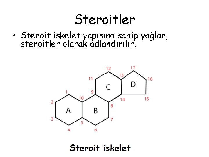 Steroitler • Steroit iskelet yapısına sahip yağlar, steroitler olarak adlandırılır. 