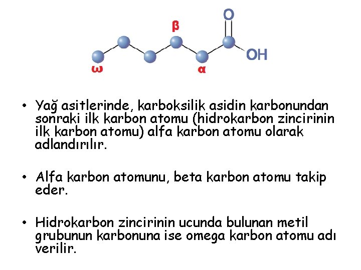  • Yağ asitlerinde, karboksilik asidin karbonundan sonraki ilk karbon atomu (hidrokarbon zincirinin ilk