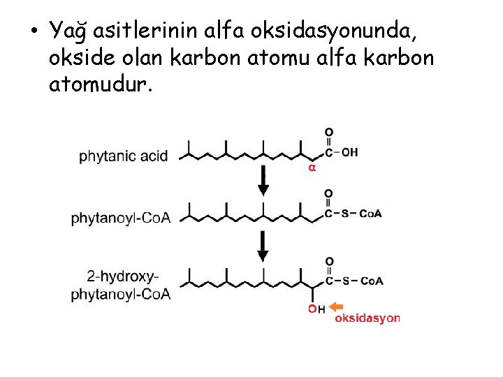  • Yağ asitlerinin alfa oksidasyonunda, okside olan karbon atomu alfa karbon atomudur. 