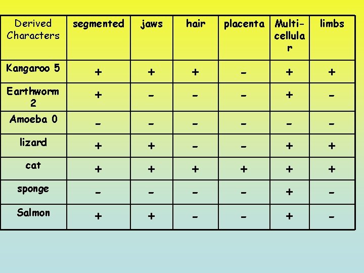 Derived Characters segmented jaws hair Kangaroo 5 + + + - - + +