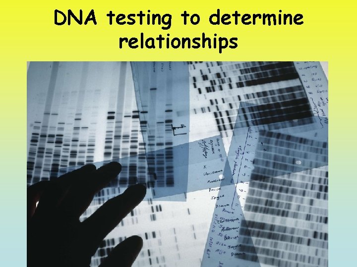 DNA testing to determine relationships 