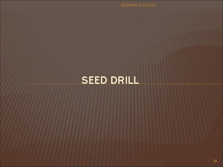 SESSION 2012/2013 SEED DRILL 38 