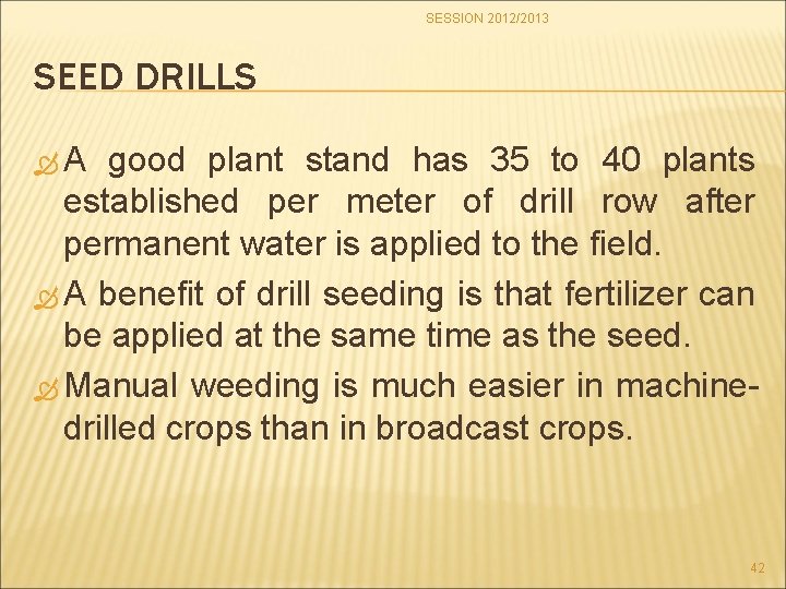SESSION 2012/2013 SEED DRILLS A good plant stand has 35 to 40 plants established