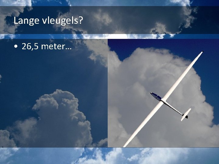 Lange vleugels? • 26, 5 meter… 