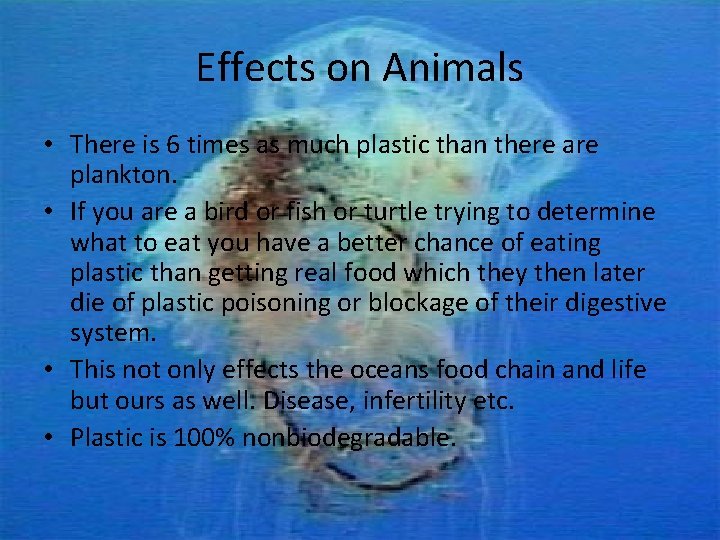 Effects on Animals • There is 6 times as much plastic than there are