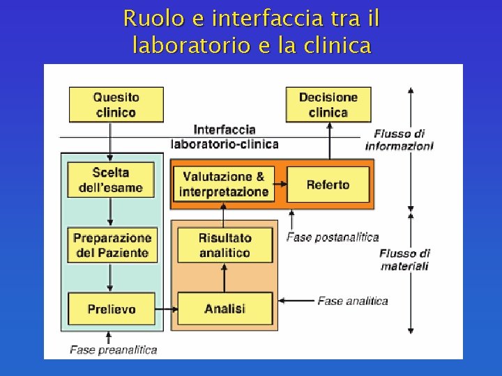 Ruolo e interfaccia tra il laboratorio e la clinica 