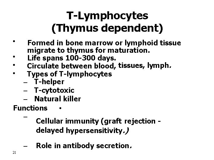 T-Lymphocytes (Thymus dependent) • Formed in bone marrow or lymphoid tissue migrate to thymus