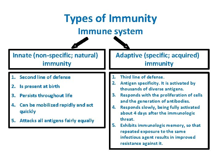 Types of Immunity Immune system Innate (non-specific; natural) immunity 1. Second line of defense