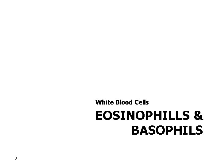 White Blood Cells EOSINOPHILLS & BASOPHILS 3 