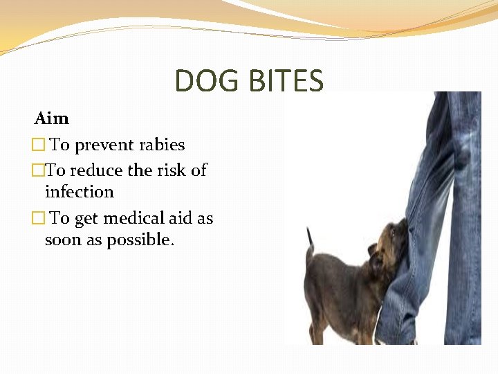 DOG BITES Aim � To prevent rabies �To reduce the risk of infection �