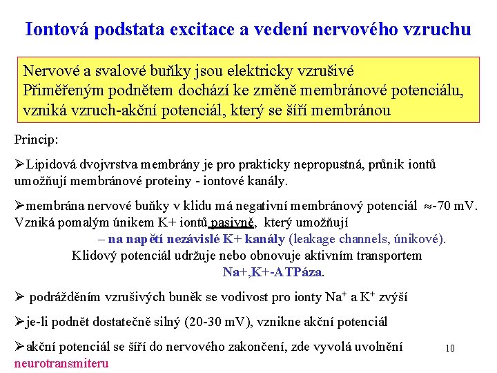 Iontová podstata excitace a vedení nervového vzruchu Nervové a svalové buňky jsou elektricky vzrušivé