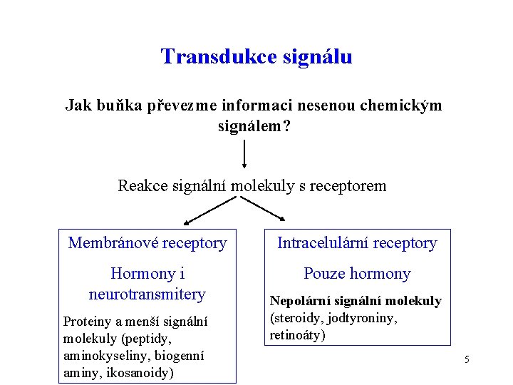Transdukce signálu Jak buňka převezme informaci nesenou chemickým signálem? Reakce signální molekuly s receptorem