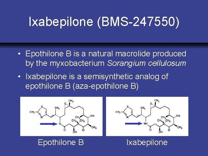 Ixabepilone (BMS-247550) • Epothilone B is a natural macrolide produced by the myxobacterium Sorangium