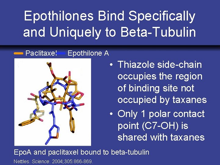 Epothilones Bind Specifically and Uniquely to Beta-Tubulin Paclitaxel Epothilone A • Thiazole side-chain occupies