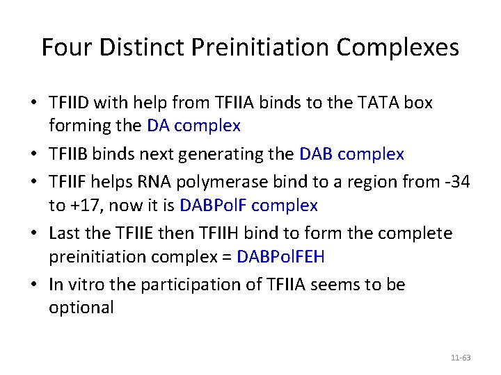 Four Distinct Preinitiation Complexes • TFIID with help from TFIIA binds to the TATA