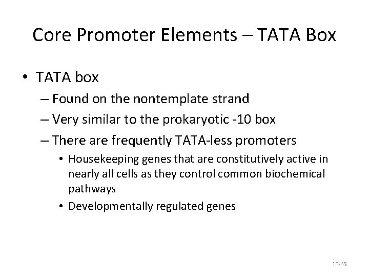 Core Promoter Elements – TATA Box • TATA box – Found on the nontemplate