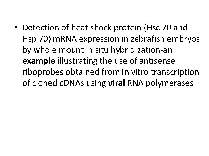  • Detection of heat shock protein (Hsc 70 and Hsp 70) m. RNA