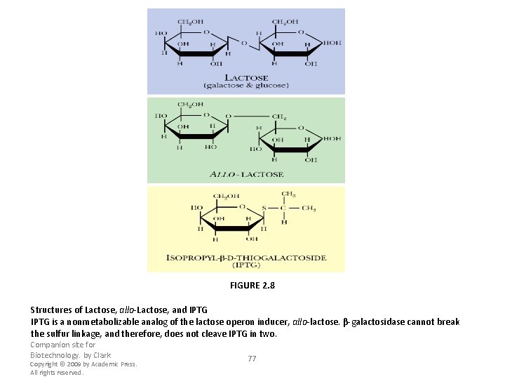 FIGURE 2. 8 Structures of Lactose, allo-Lactose, and IPTG is a nonmetabolizable analog of