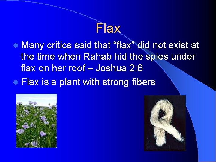 Flax l Many critics said that “flax” did not exist at the time when