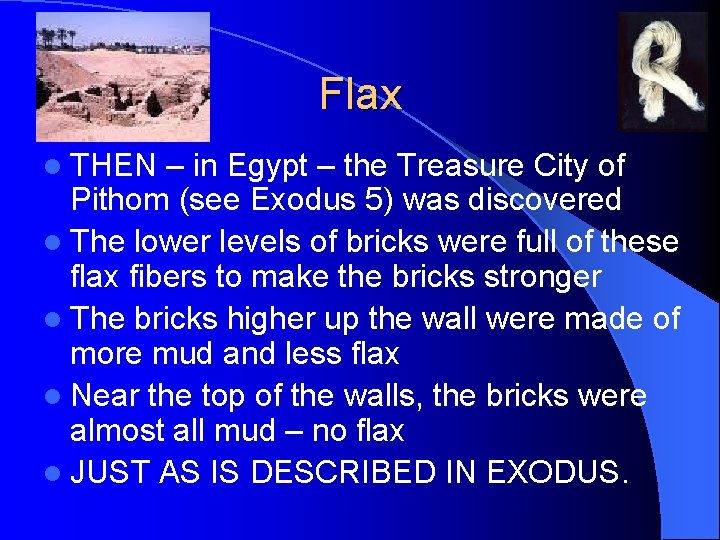 Flax l THEN – in Egypt – the Treasure City of Pithom (see Exodus