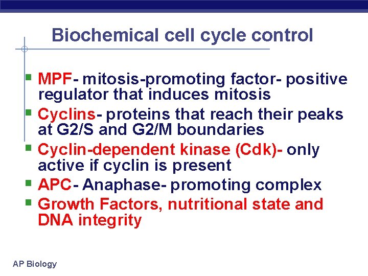 Biochemical cell cycle control § MPF- mitosis-promoting factor- positive regulator that induces mitosis §