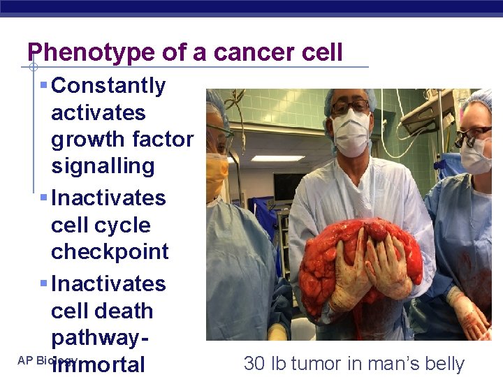 Phenotype of a cancer cell § Constantly activates growth factor signalling § Inactivates cell
