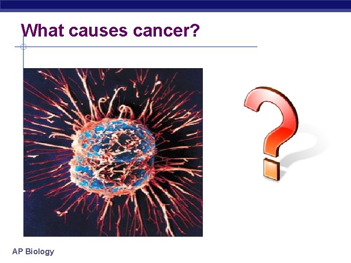 What causes cancer? AP Biology 
