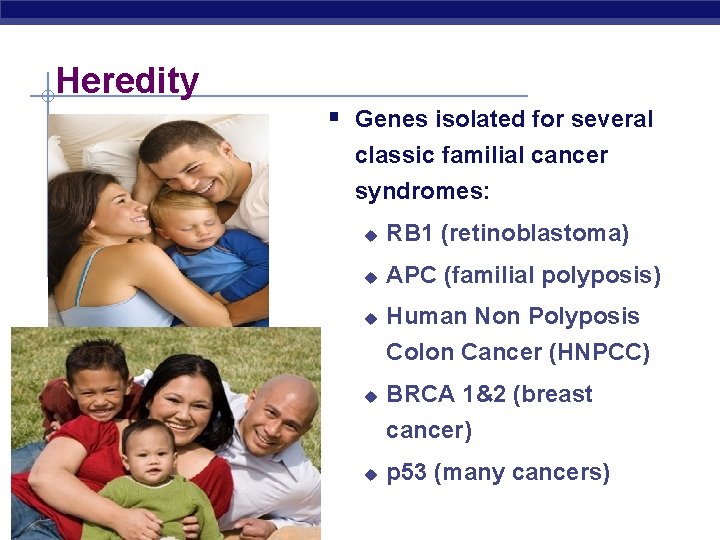 Heredity § Genes isolated for several classic familial cancer syndromes: u RB 1 (retinoblastoma)