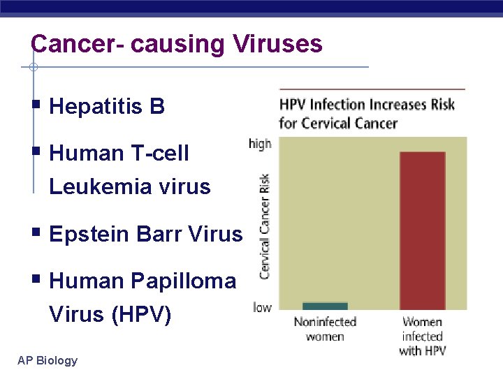 Cancer- causing Viruses § Hepatitis B § Human T-cell Leukemia virus § Epstein Barr