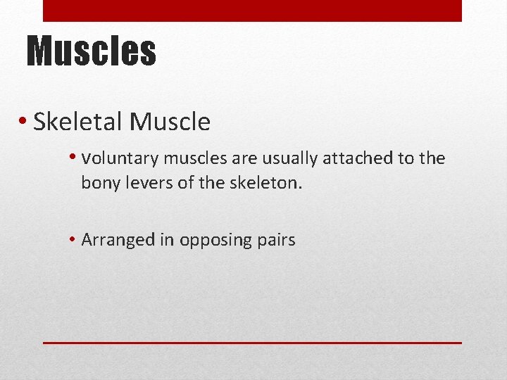 Muscles • Skeletal Muscle • voluntary muscles are usually attached to the bony levers