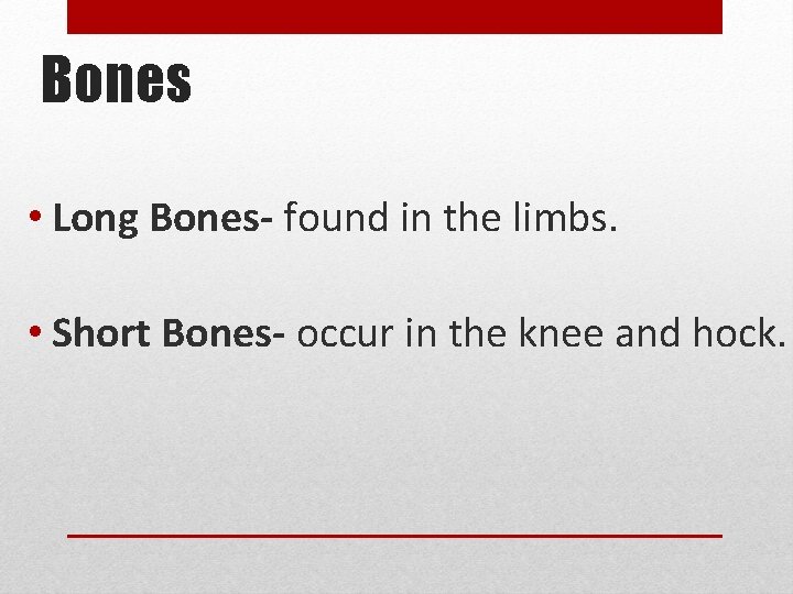 Bones • Long Bones- found in the limbs. • Short Bones- occur in the