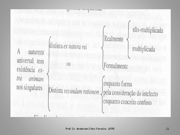 Prof. Dr. Anderson D'Arc Ferreira - UFPB 11 