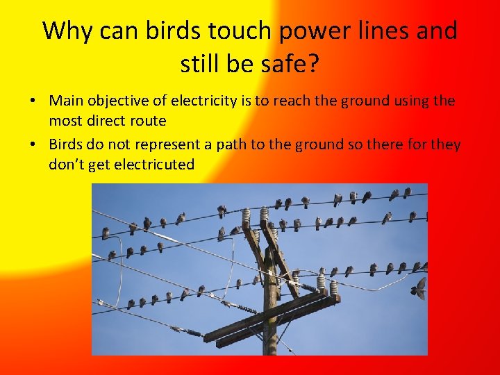 Why can birds touch power lines and still be safe? • Main objective of