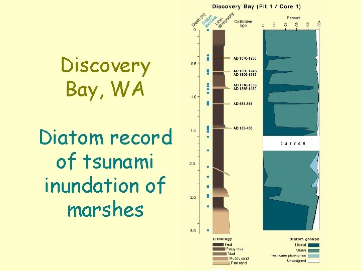 Discovery Bay, WA Diatom record of tsunami inundation of marshes 