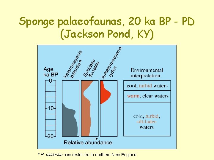 Sponge palaeofaunas, 20 ka BP - PD (Jackson Pond, KY) * * H. latitientia