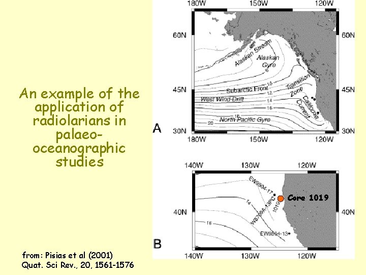 An example of the application of radiolarians in palaeooceanographic studies Core 1019 from: Pisias