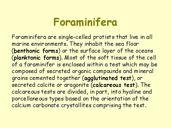 Foraminifera are single-celled protists that live in all marine environments. They inhabit the sea