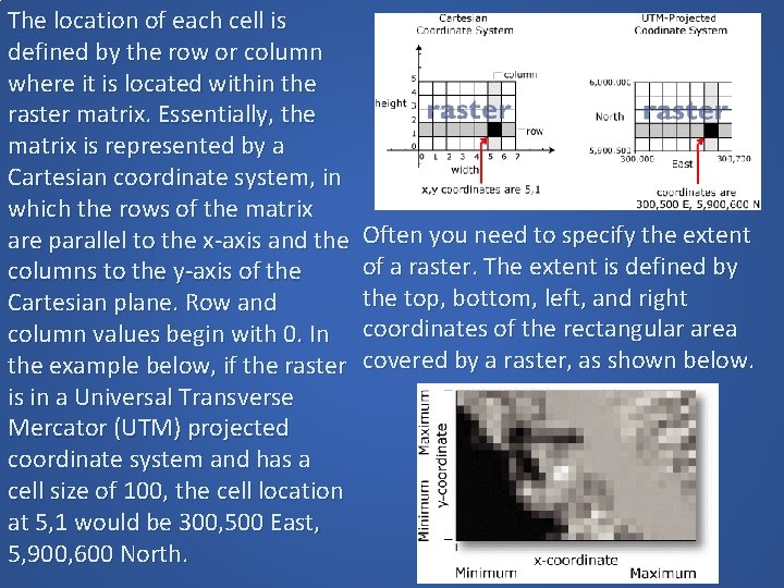 The location of each cell is defined by the row or column where it The location of each cell is defined by the row or column where it