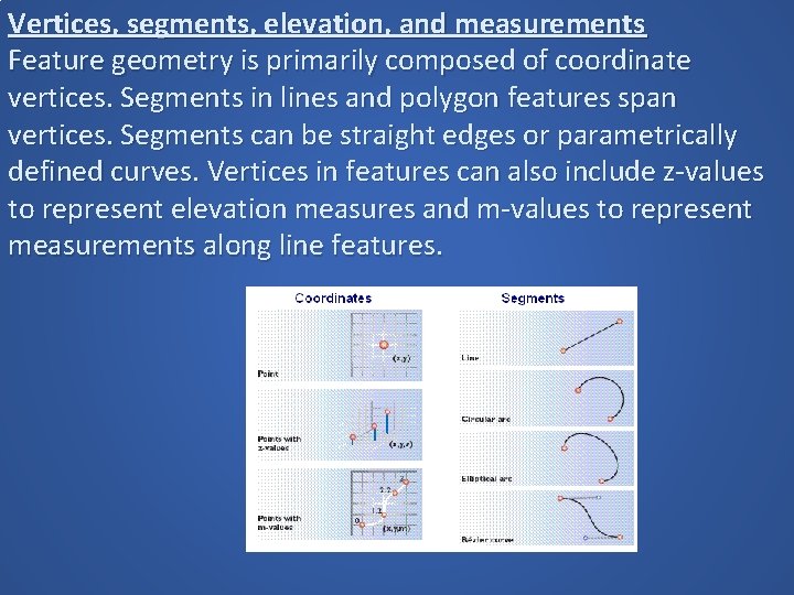 Vertices, segments, elevation, and measurements Feature geometry is primarily composed of coordinate vertices. Segments Vertices, segments, elevation, and measurements Feature geometry is primarily composed of coordinate vertices. Segments