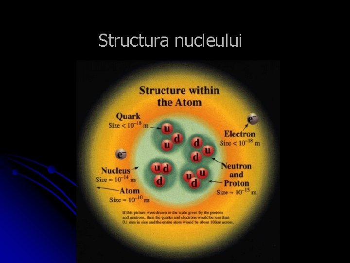 Structura nucleului 