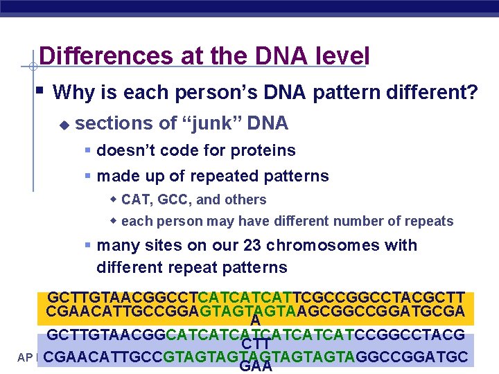 Differences at the DNA level § Why is each person’s DNA pattern different? u