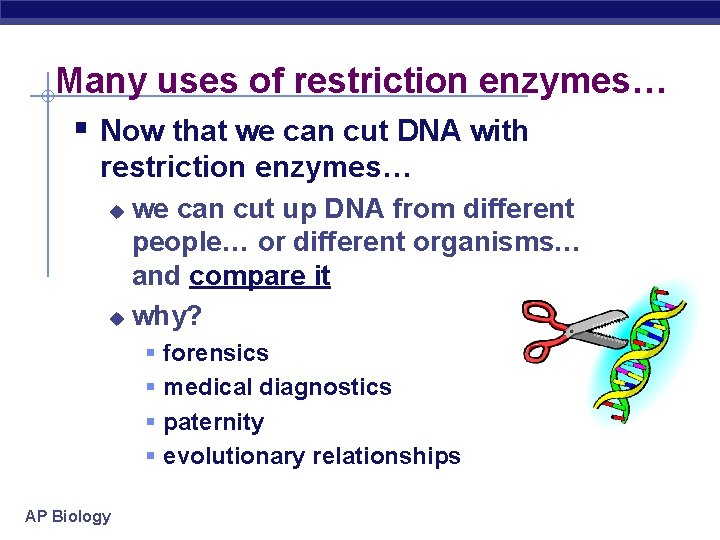 Many uses of restriction enzymes… § Now that we can cut DNA with restriction