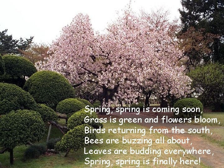Spring, spring is coming soon, Grass is green and flowers bloom, Birds returning from