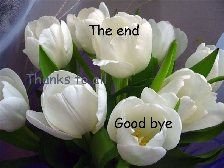 The end Thanks to all Good bye 