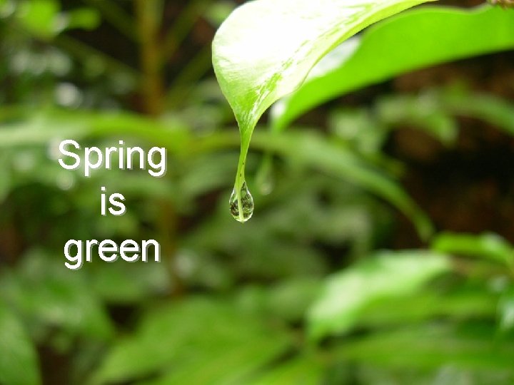 Spring is green 