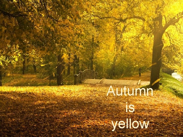 Autumn is yellow 