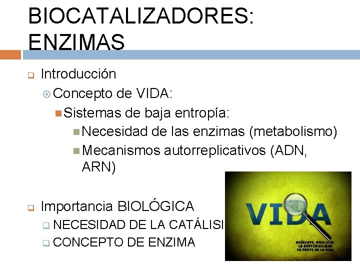 BIOCATALIZADORES: ENZIMAS q q Introducción Concepto de VIDA: Sistemas de baja entropía: Necesidad de