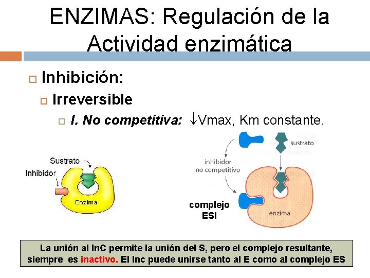 ENZIMAS: Regulación de la Actividad enzimática Inhibición: Irreversible I. No competitiva: Vmax, Km constante.