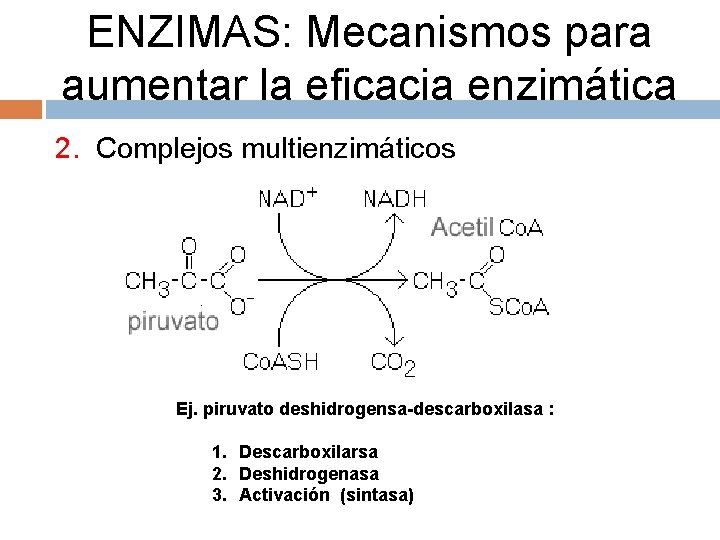 ENZIMAS: Mecanismos para aumentar la eficacia enzimática 2. Complejos multienzimáticos Ej. piruvato deshidrogensa-descarboxilasa :